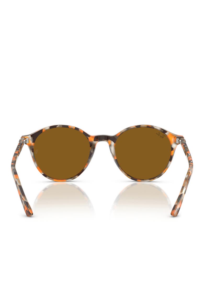 51mm Bernard Phantos Round Sunglases, Alternate, color, HAVANA GREY E BROWN / BROWN