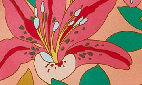 Amanda Uprichard Janerico Maxi Dress In Botanico In Multi