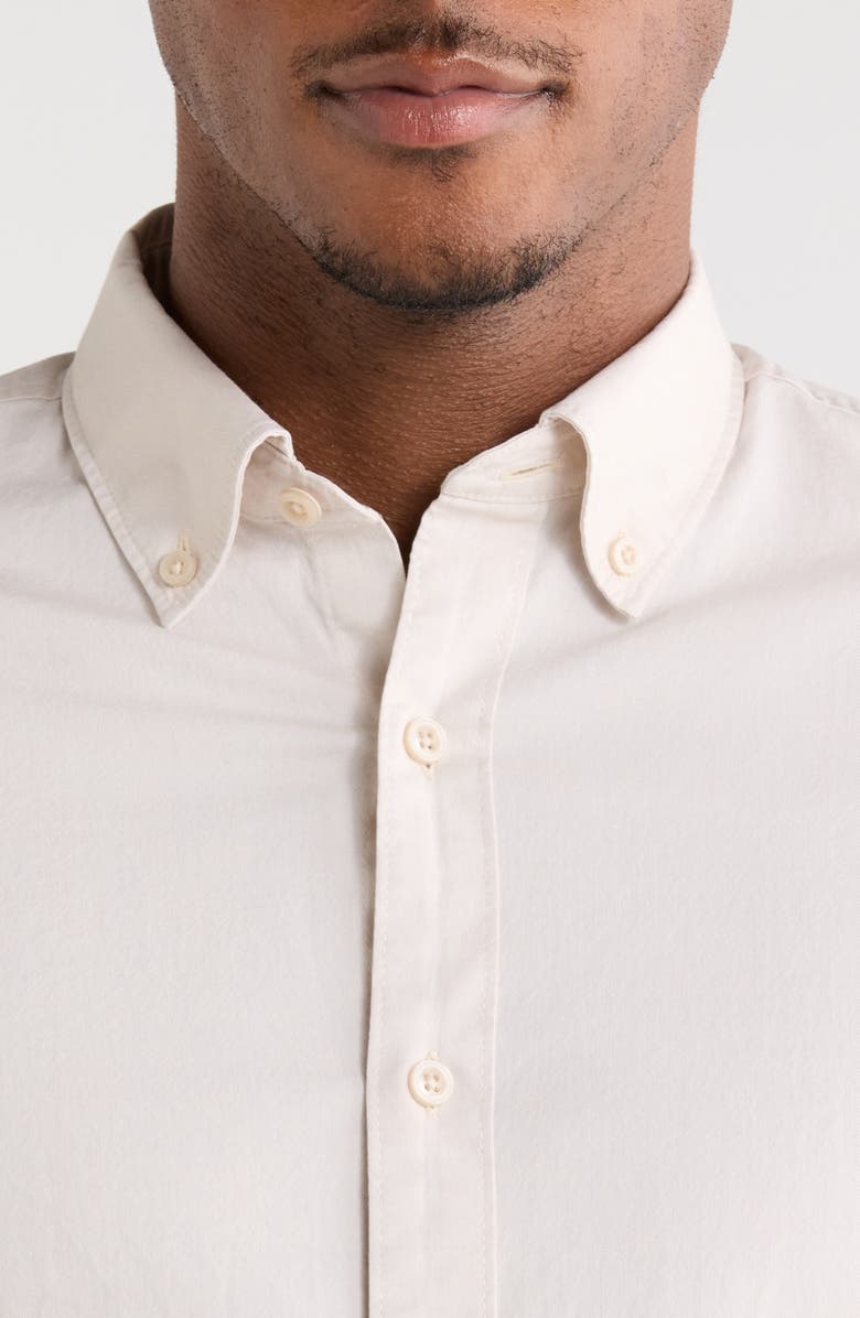 Nordstrom Stretch Cotton Button-Down Oxford Shirt, Alternate, color, Beige White Eoe