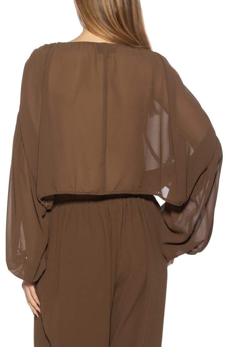 Alexia Admor Luca Blouson Sheer TOp, Alternate, color, Brown