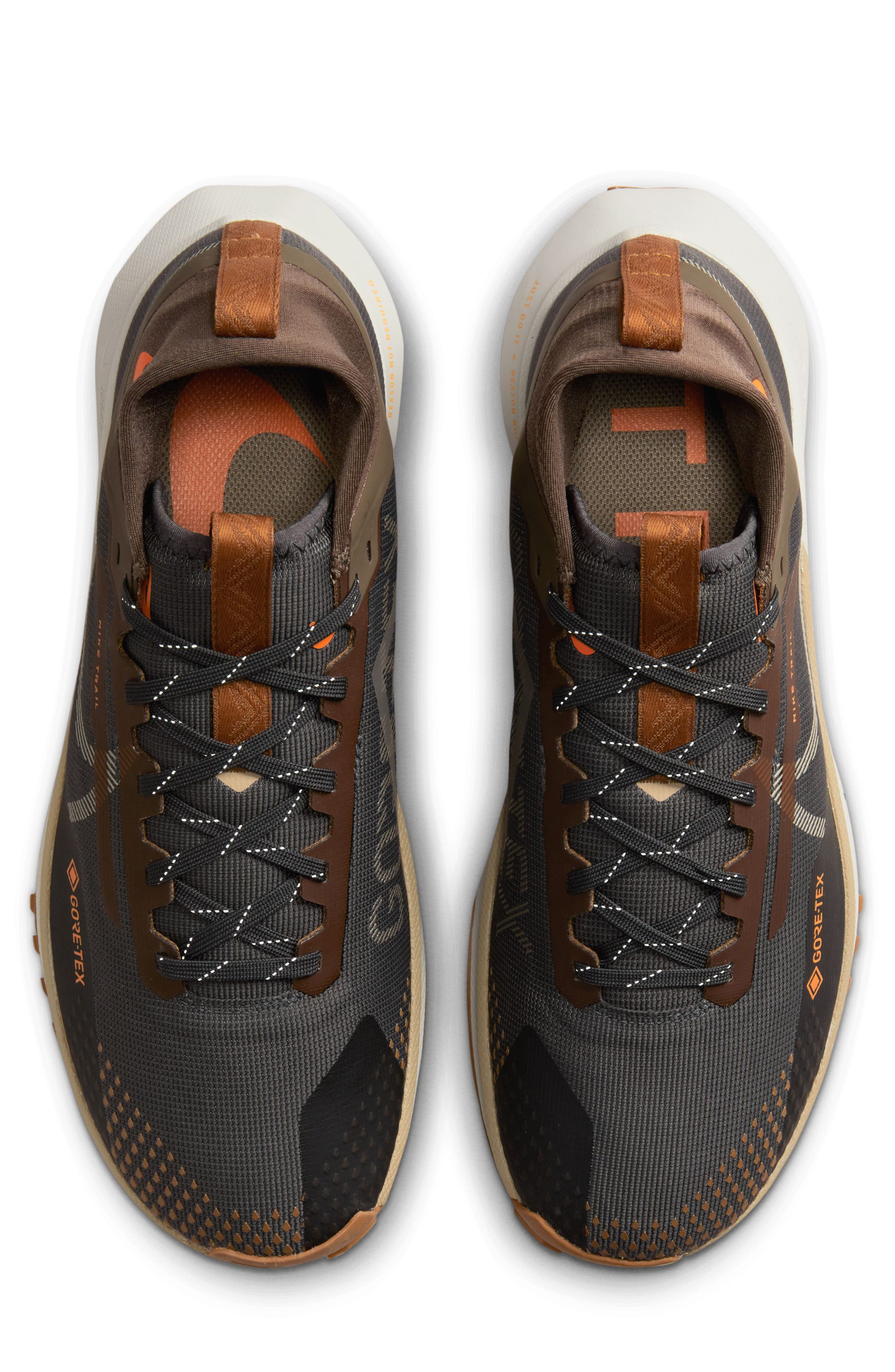 Nike React Pegasus Trail 4 Gore-Tex<sup>®</sup> Running Shoe, Alternate, color, 