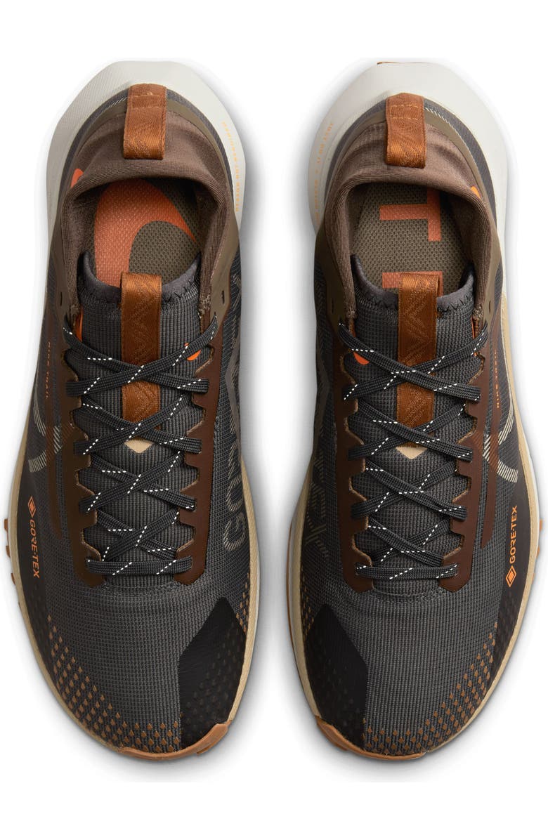 Nike React Pegasus Trail 4 Gore-Tex<sup>®</sup> Running Shoe, Alternate, color,