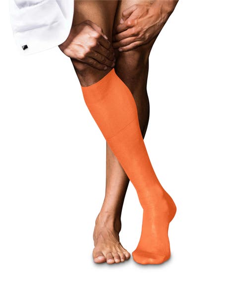 No. 9 Egyptian Cotton Luxury Dress Socks (Men)
