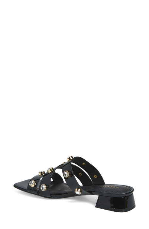 Cecelia New York Lindon Slide Sandal In Black