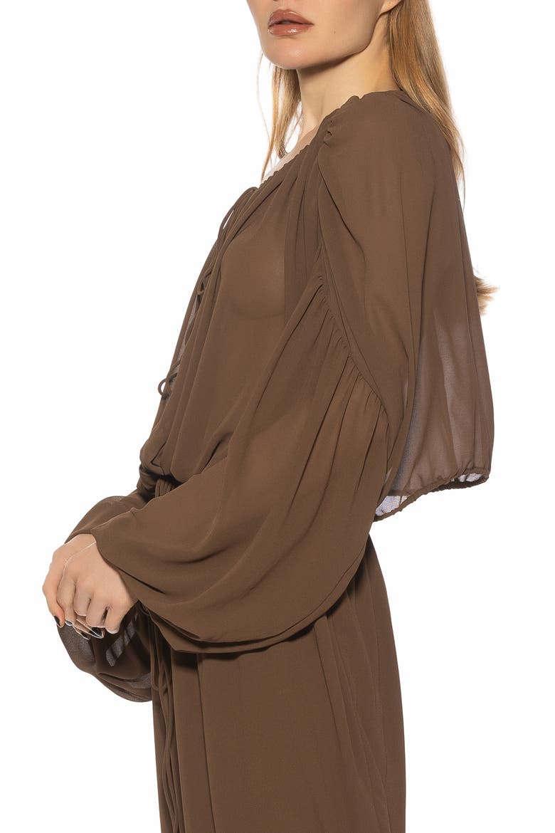 Luca Blouson Sheer TOp, Alternate, color, BROWN