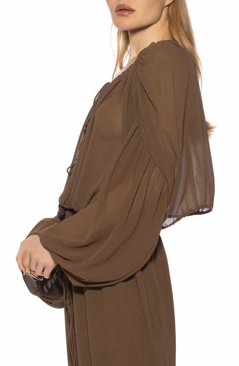 Alexia Admor Luca Blouson Sheer TOp, Alternate, color, Brown