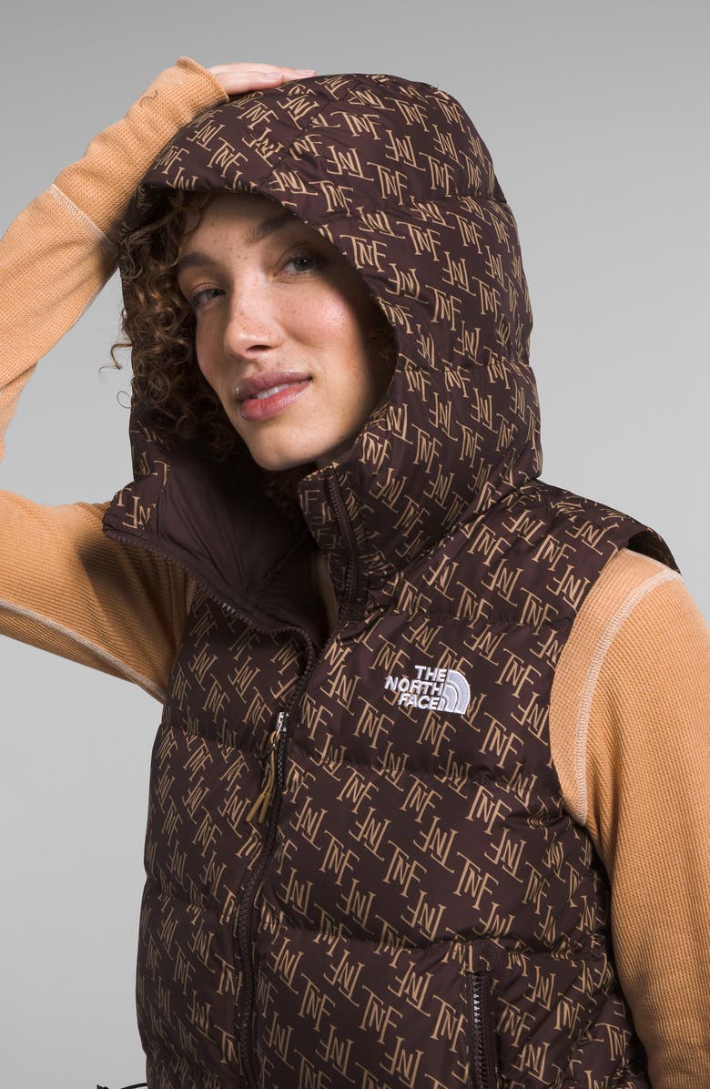 The North Face Hydrenalite<sup>™</sup> Water Repellent 600 Fill Power Down Vest, Alternate, color,