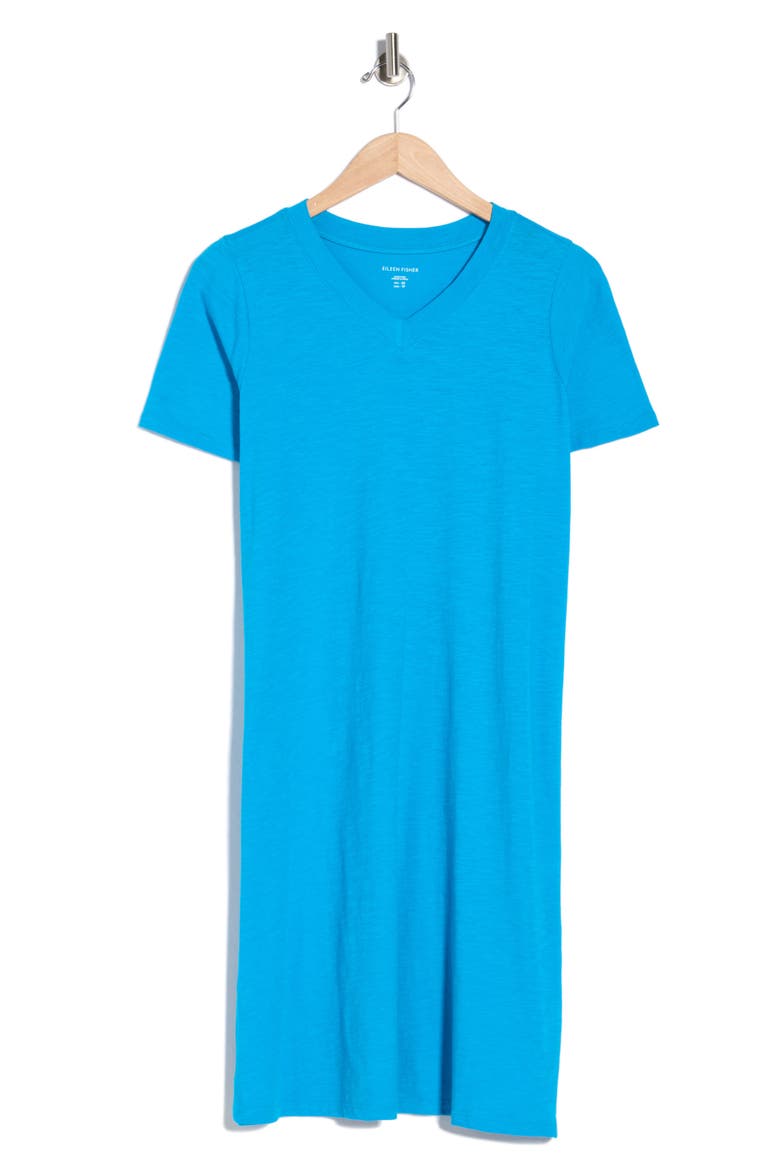 V-Neck Organic Cotton T-Shirt Dress, Alternate, color, OAHU BLUE
