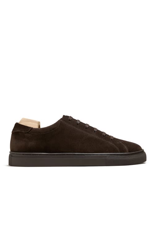 Myrqvist Oaxen Ii Sneakers In Brown