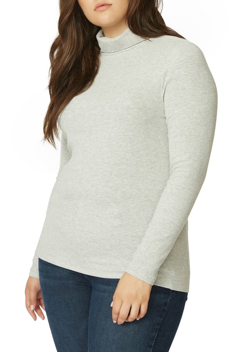 Sanctuary Essentials Turtleneck, Main, color, 