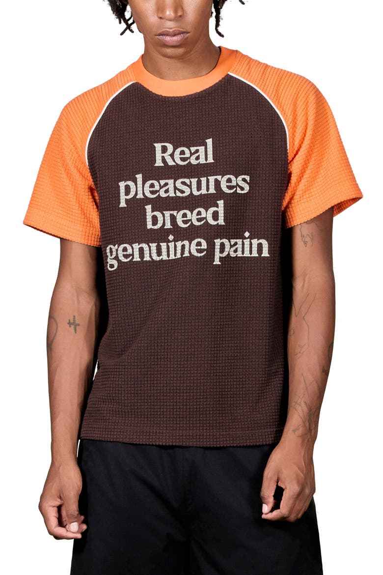 Breed Raglan Cotton Waffle Graphic T-Shirt, Main, color, BROWN