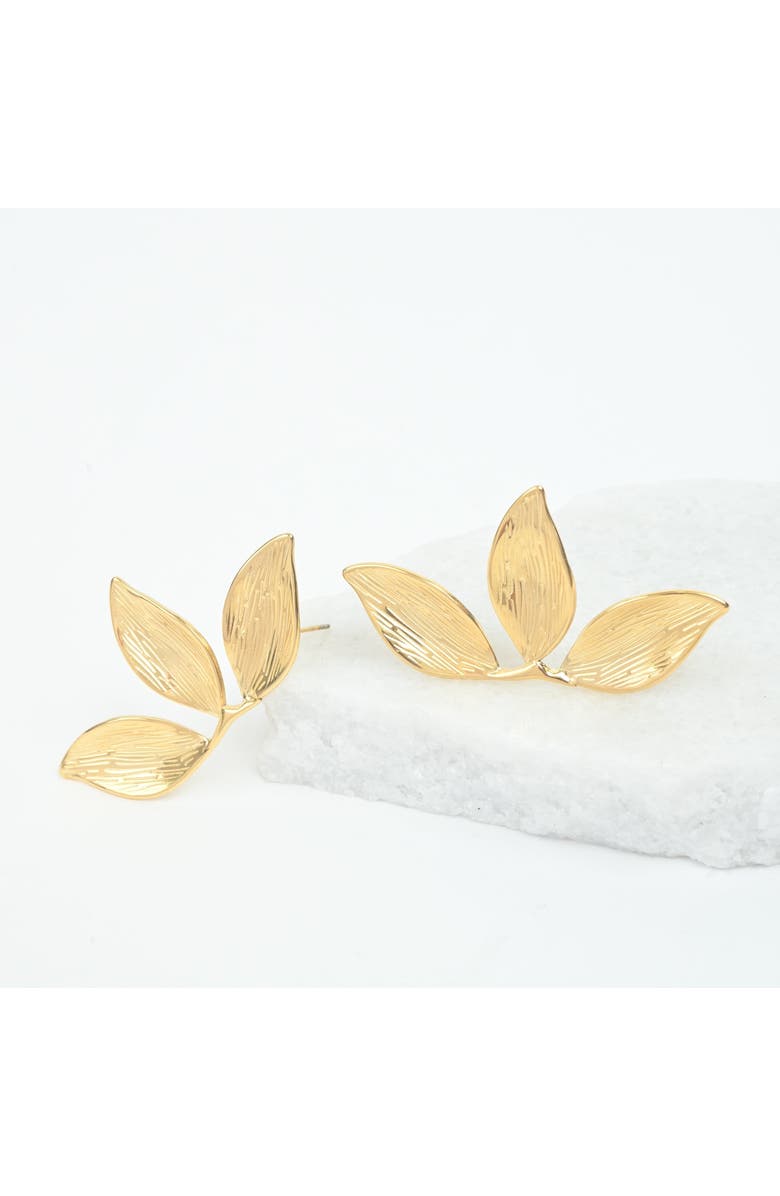 Starfish Project Golden Canopy Earrings, Main, color, Gold