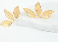 Starfish Project Golden Canopy Earrings