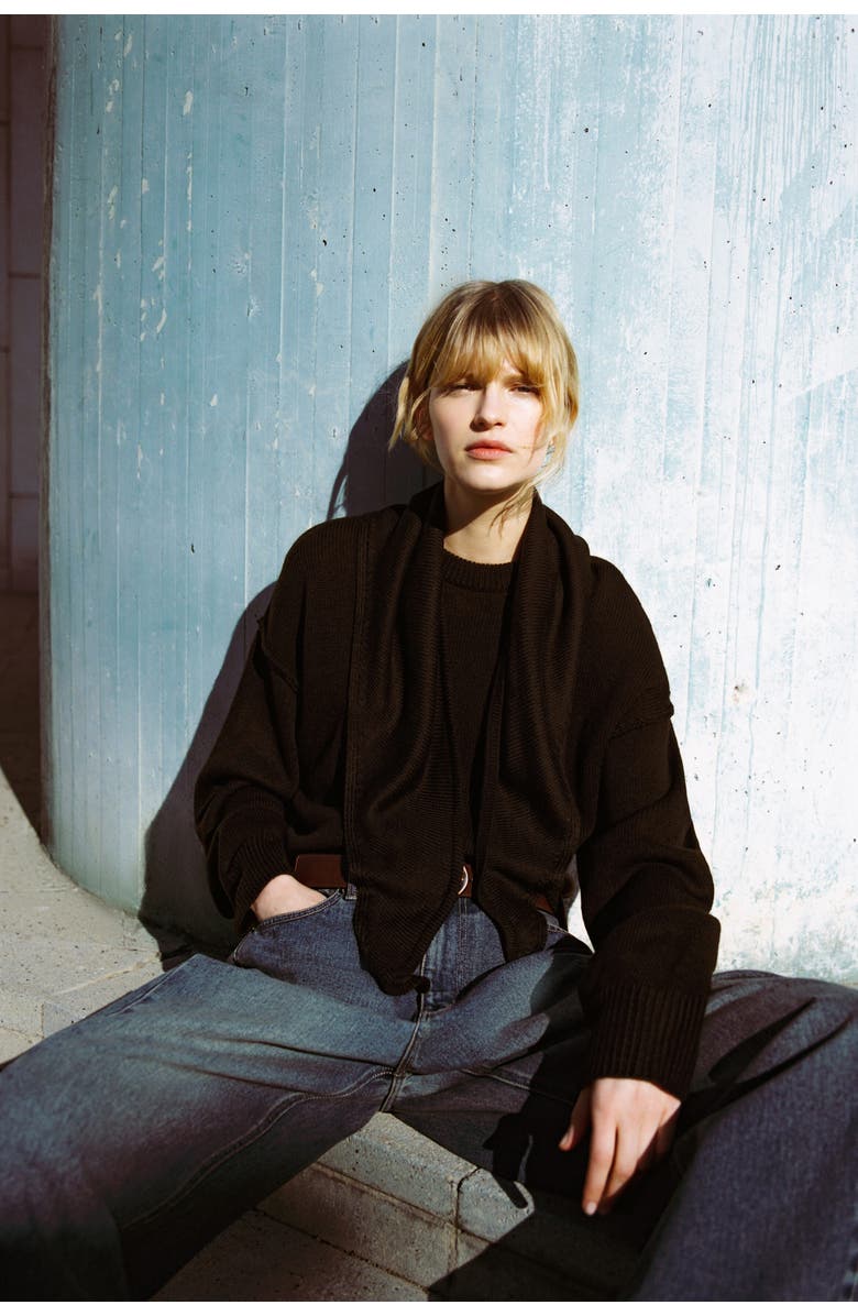 H&M Jumper With Scarf, Alternate, color, Dark Brown