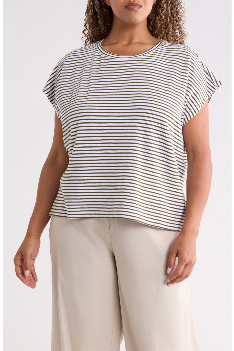 Stripe Crewneck Organic Cotton Top, Main, color, OLIVE