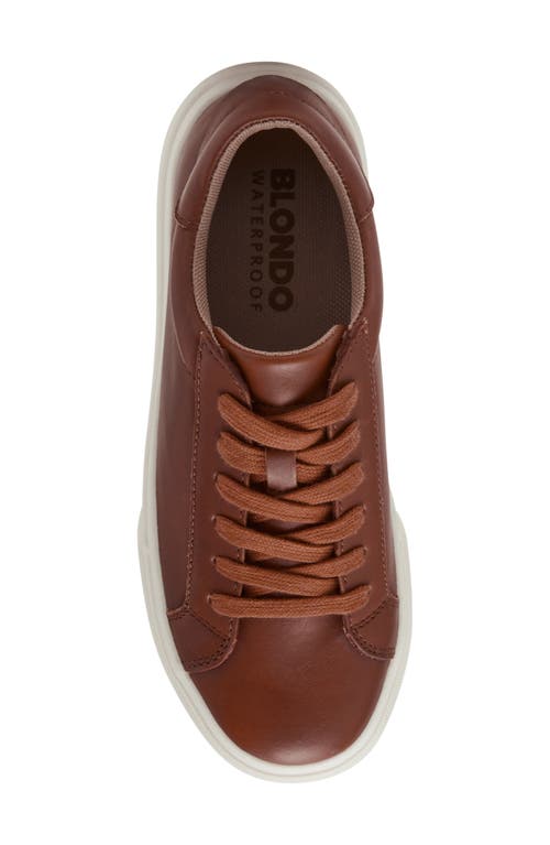 Blondo Venna Waterproof Sneaker