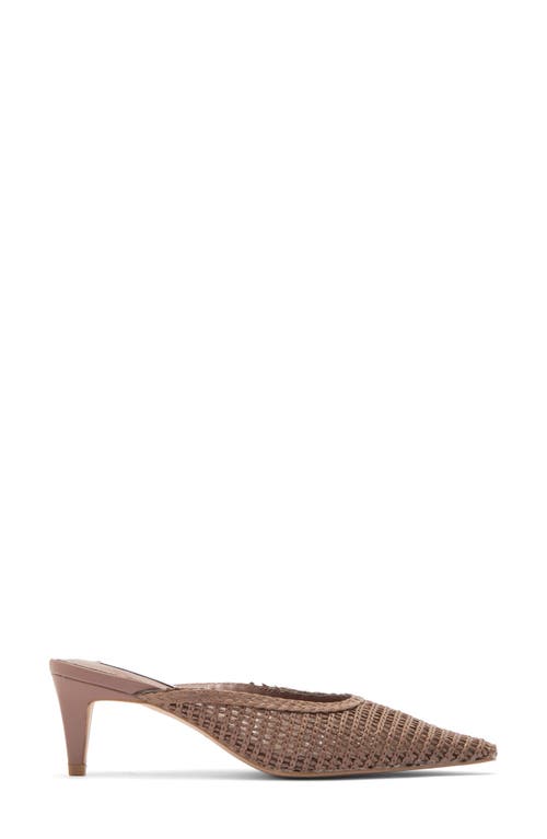 Steve Madden Cleverr Woven Mule In Brown
