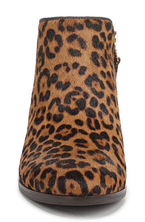 Sam Edelman Petty Bootie In Animal Print