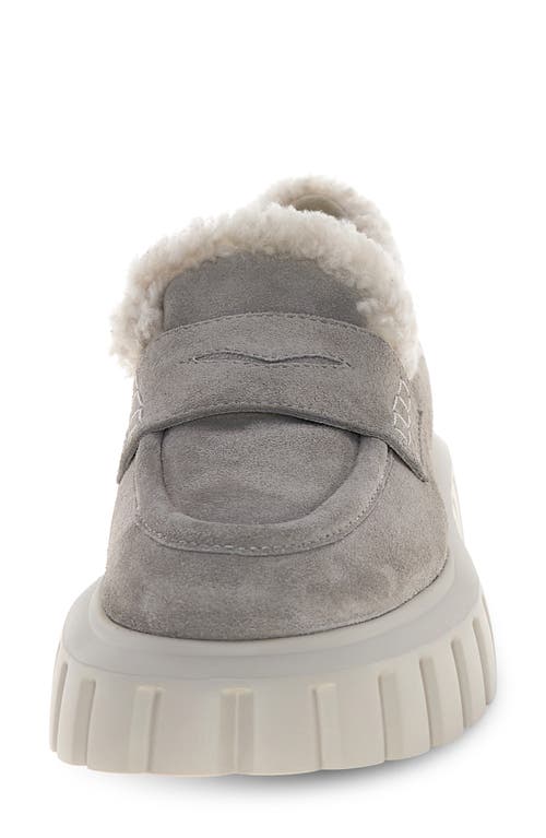 Voile Blanche Grenelle Genuine Shearling Platform Loafer In Gray