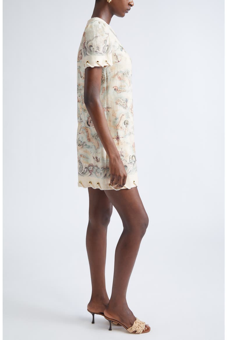 Rebellion Rope Trim Linen Minidress, Alternate, color, TREASURE MAP