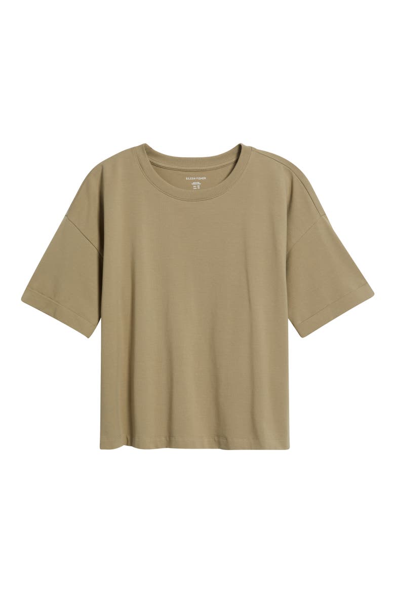 Cuffed Sleeve Cotton Crewneck T-Shirt, Alternate, color, TWIG