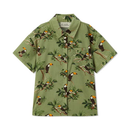 Milkbarn Collar Button-up Shirt And Shorts Set