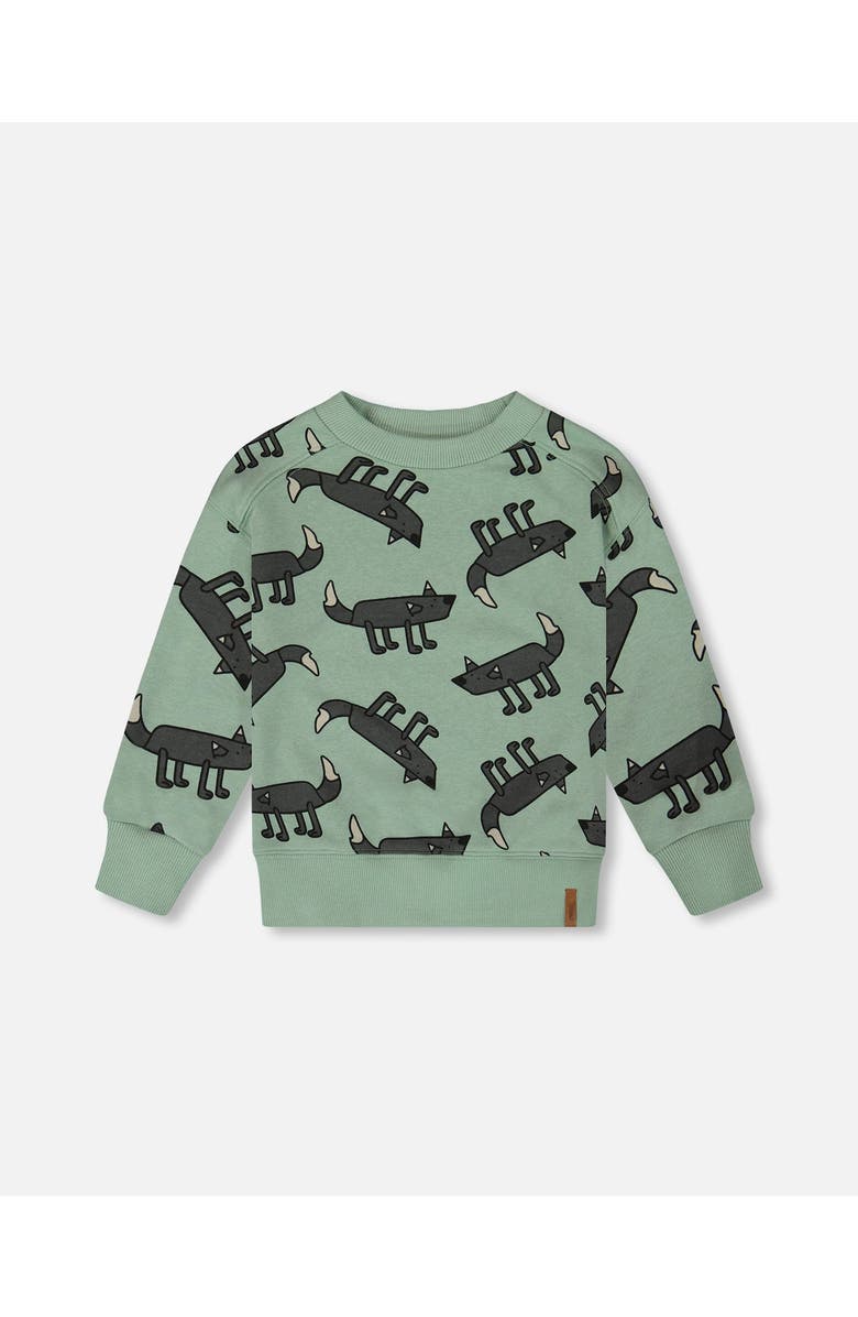 Deux par Deux Little Boy's Printed Pullover French Terry Sweatshirt Gray Wolf On Teal Background, Main, color,
