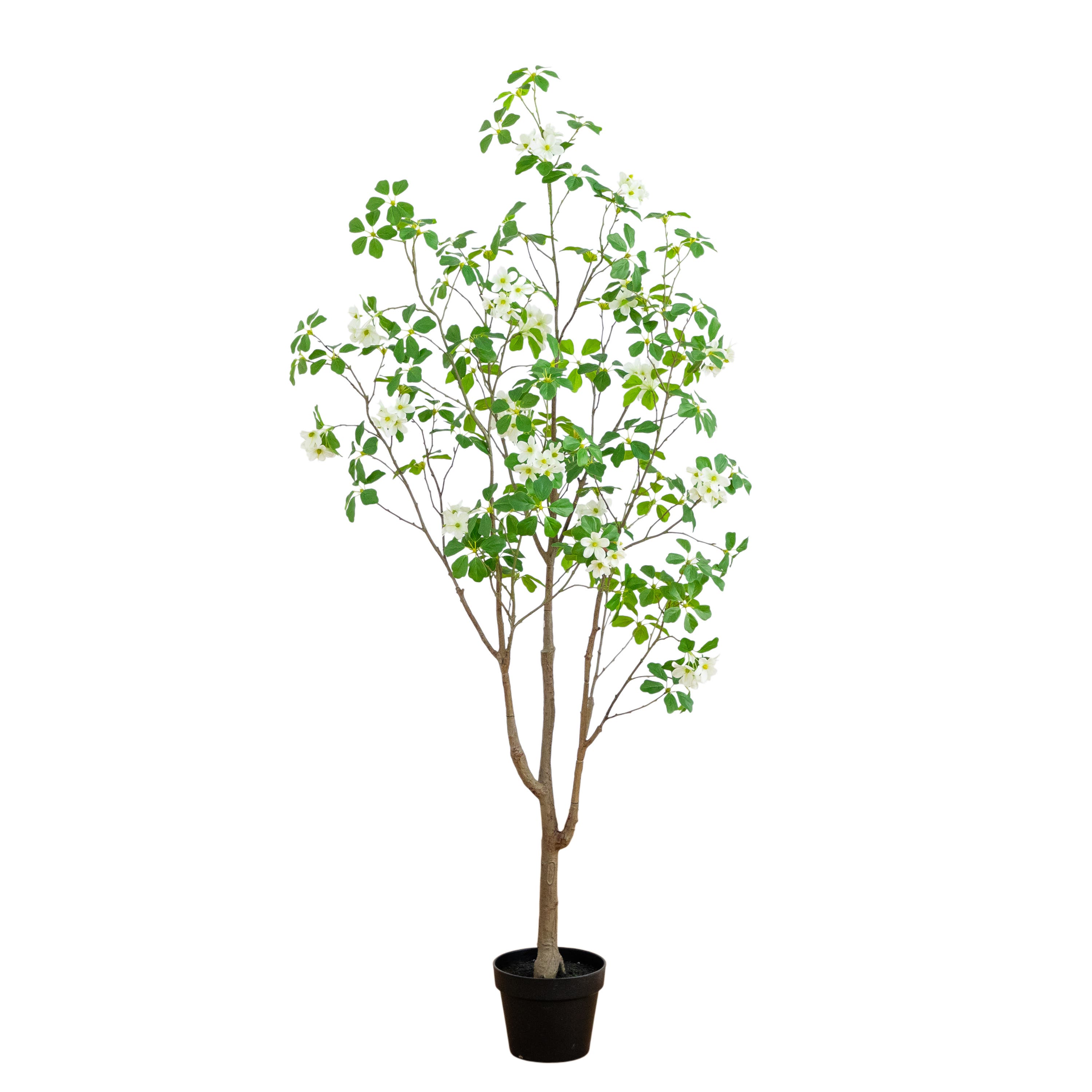 selected Green