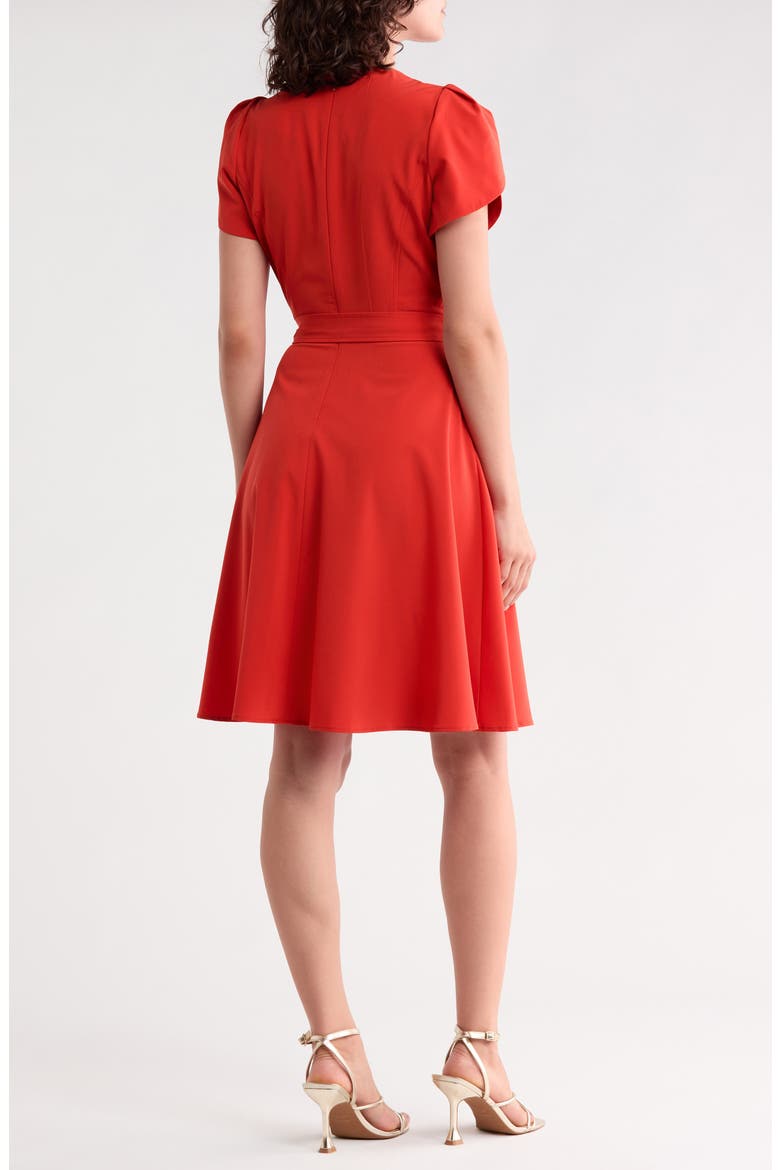 Belted Pleated A Line Dress, Alternate, color, CLAY
