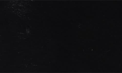 Bcbg Faux Fur Headband In Black