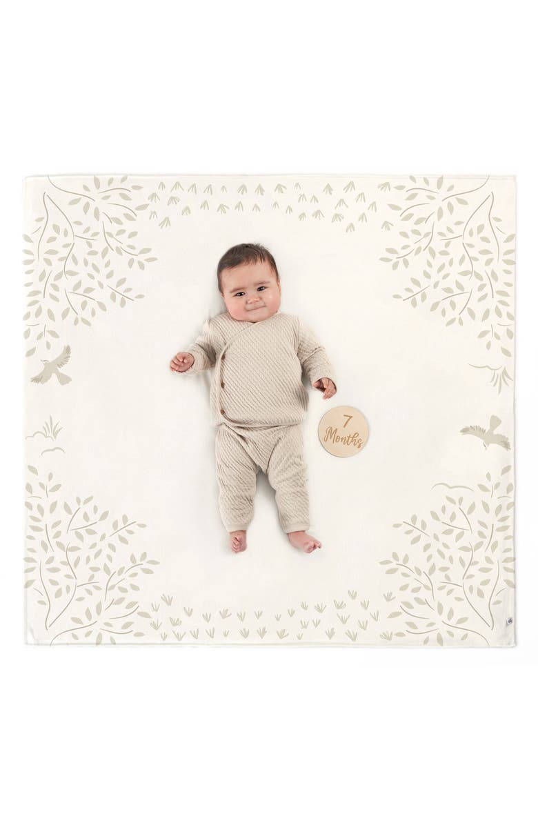 Just Born Milestone Gift Set, Main, color, Neutral Tan