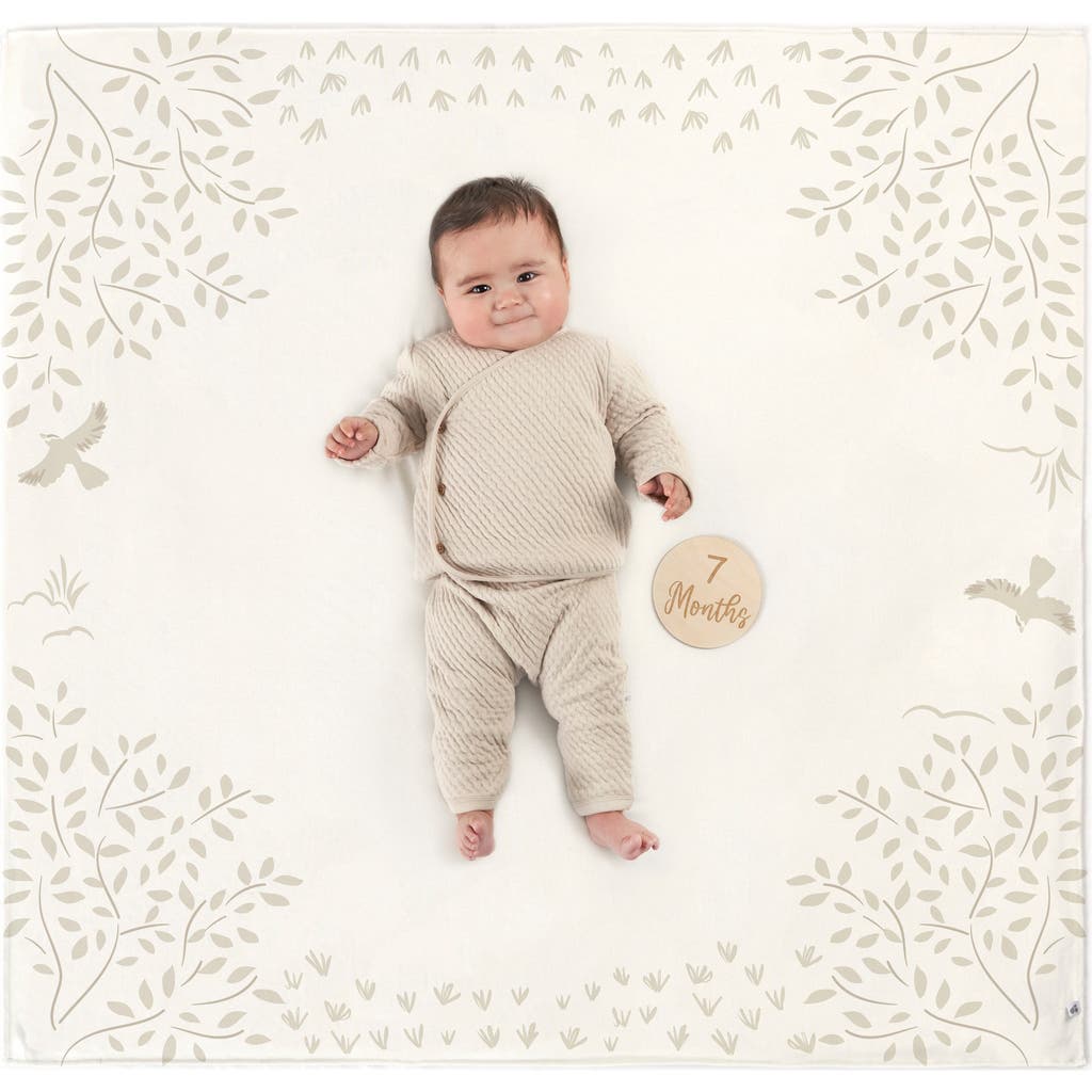 Just Born Milestone Gift Set