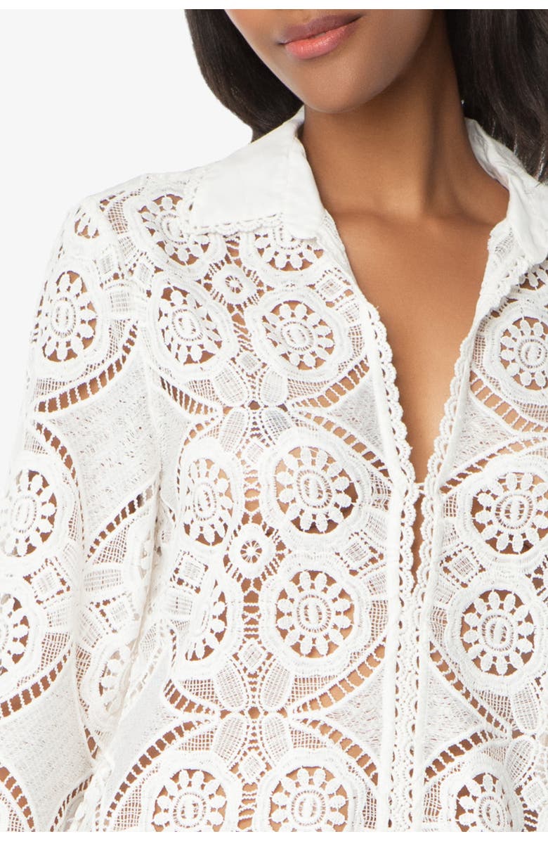 HELEN JON Lace Button Front Dress, Alternate, color, Lace Crochet