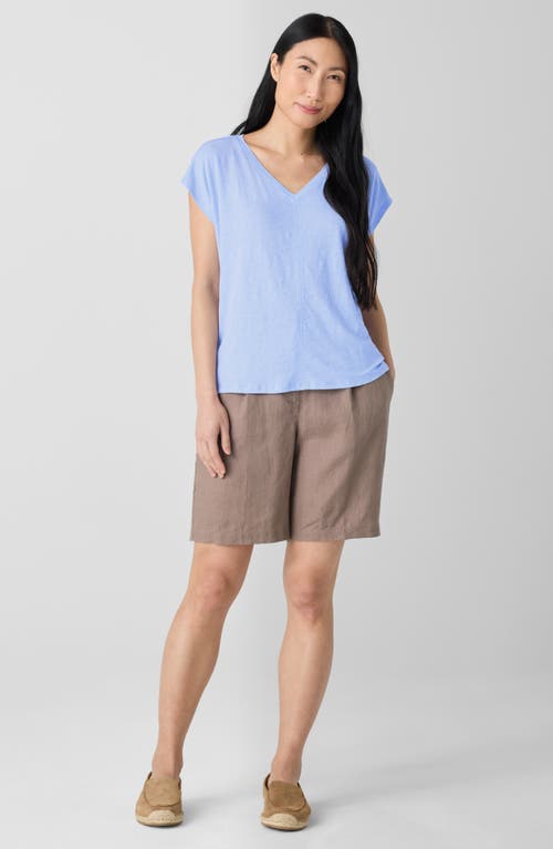 Eileen Fisher V-neck Organic Linen T-shirt In Bellflower