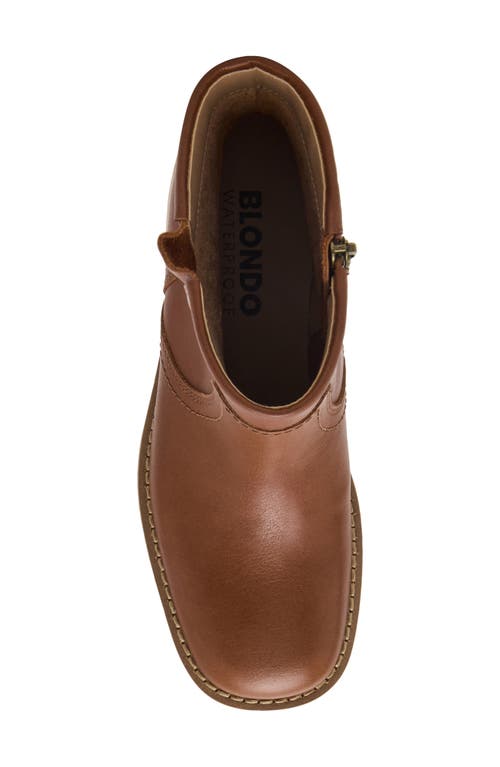 Blondo Cassadie Waterproof Bootie In Brown