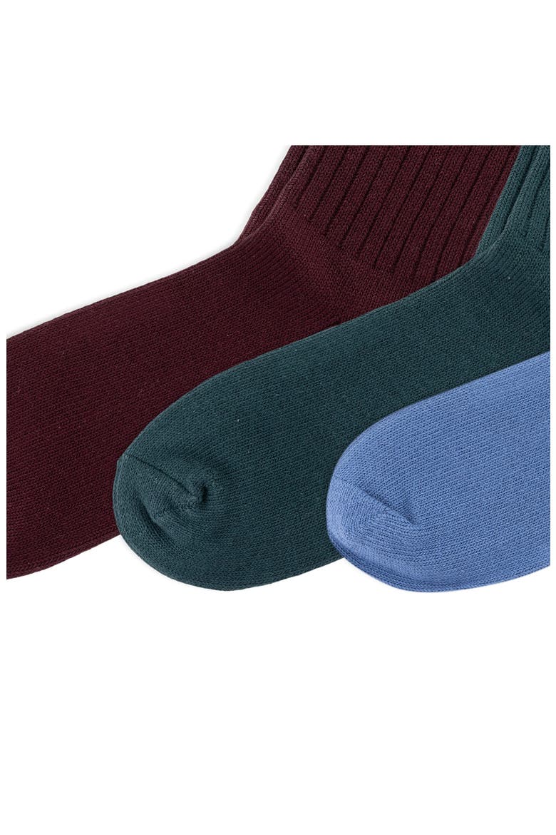 Embroidered Bears Assorted 3-Pack Cotton Blend Crew Socks Gift Box, Alternate, color, WINE/ GREEN/ BLUE ASSORTED