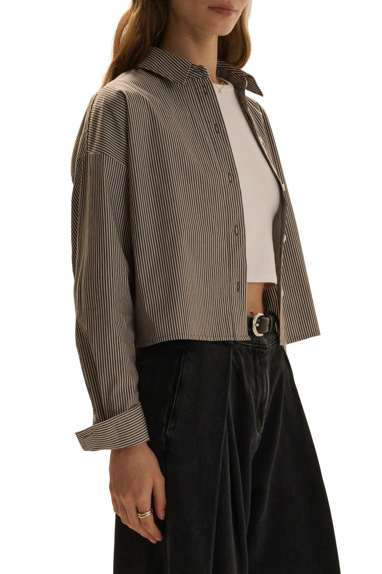 The Next Chapter Striped Cropped Shirt, Alternate, color, ESPRESSO/ WHITE STR