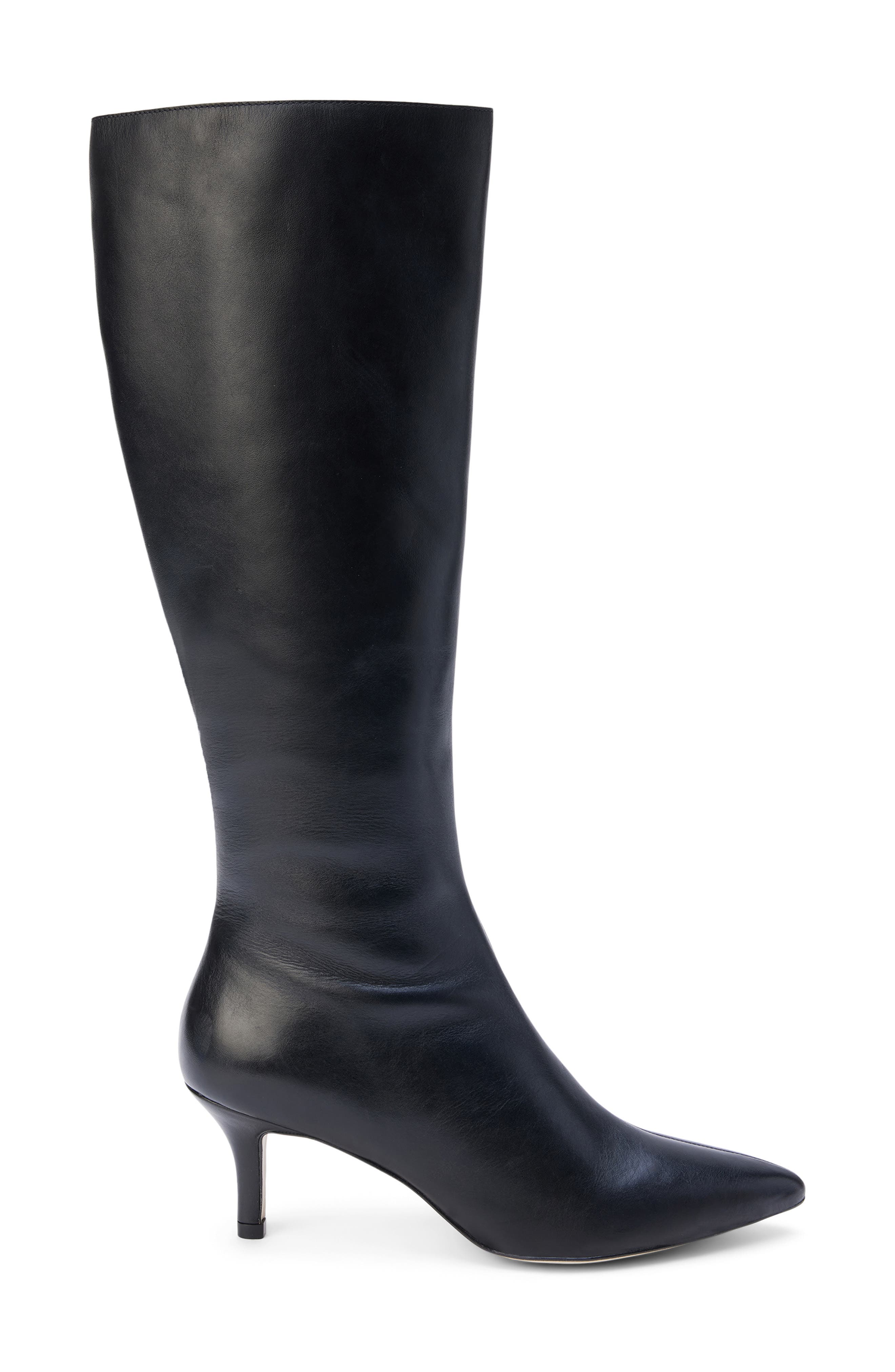 Matisse Charley Pointed Toe Knee High Boot, Alternate, color, 