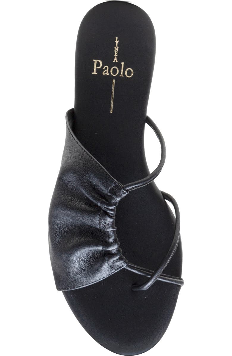 Linea Paolo Lane Toe Loop Sandal, Alternate, color, Black