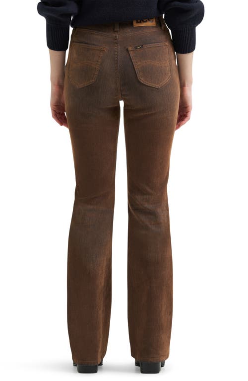 Lee High Waist Bootcut Jeans In Brown