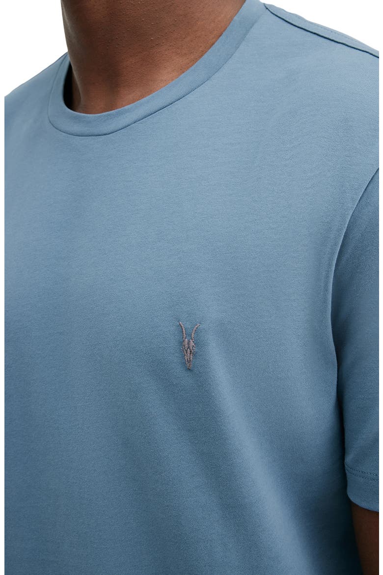 Brace Cotton T-Shirt, Alternate, color, AREO BLUE