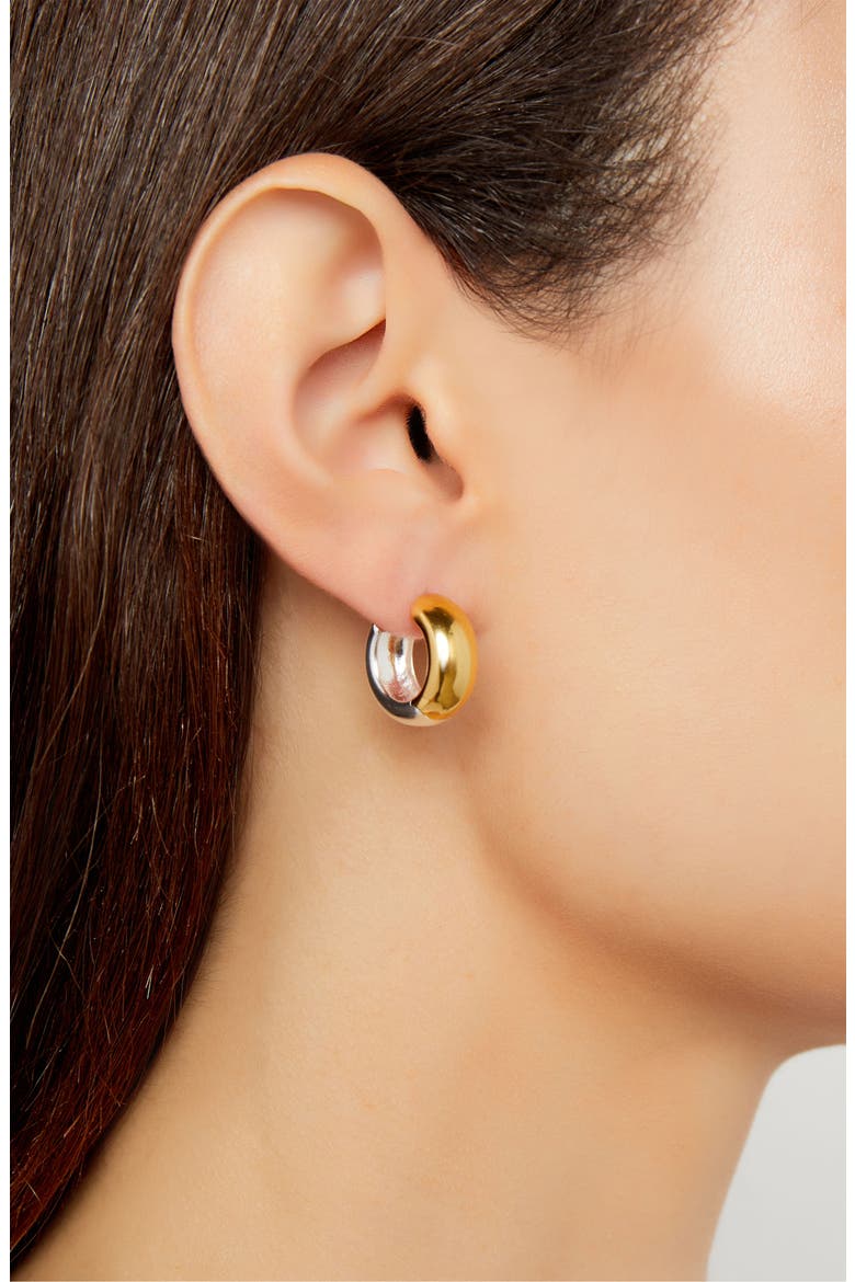 Argento Vivo Reversible Two-Tone Hoop Earrings, Alternate, color, SILVER/ GOLD