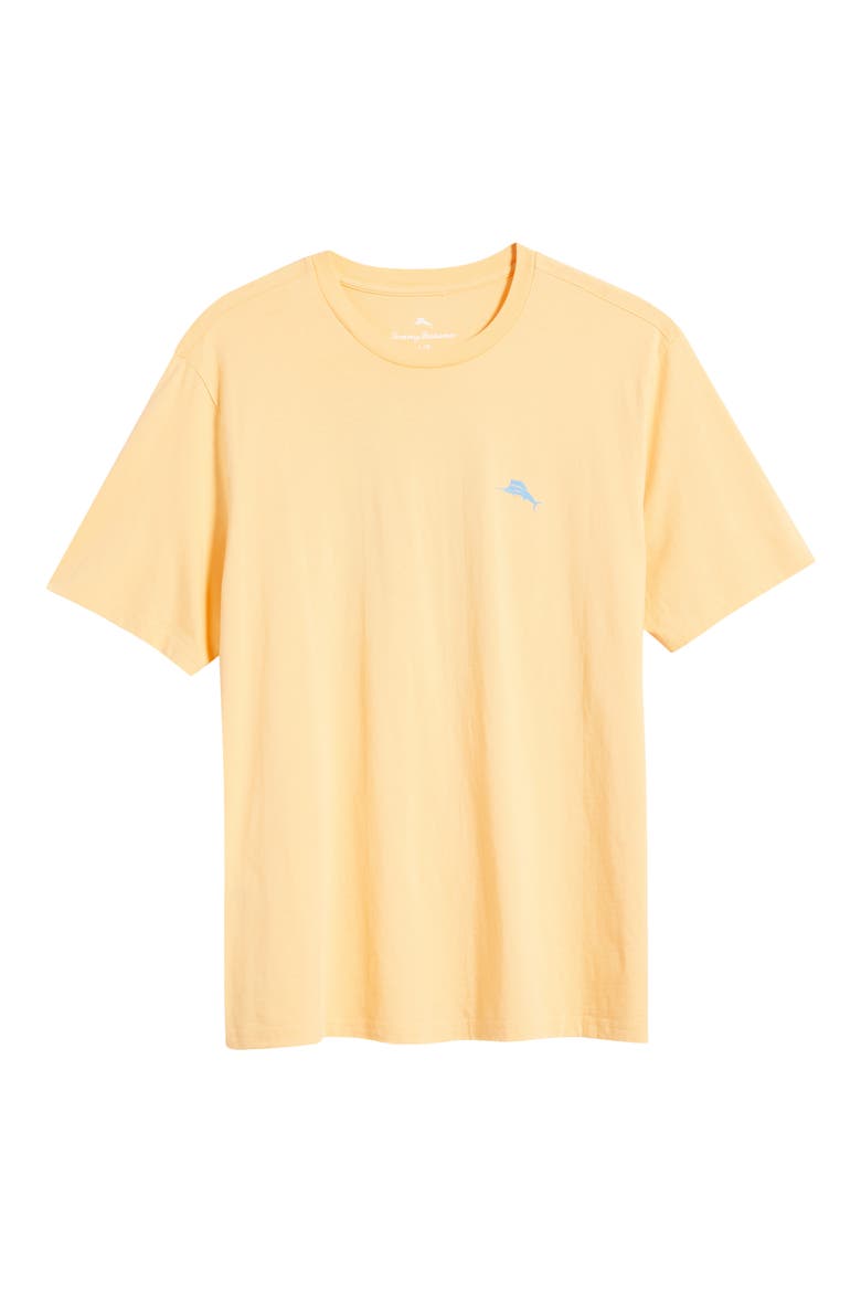 Tropic Block Cotton T-Shirt, Main, color, APRICOT CREAM
