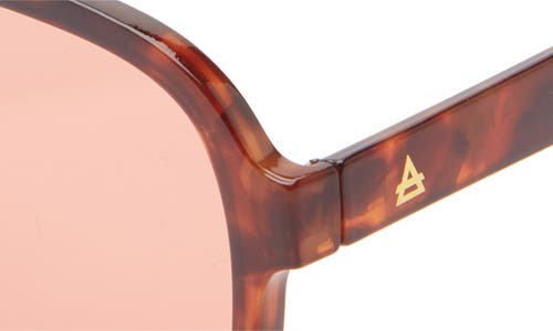 Aire Whirlpool 53mm Aviator Sunglasses In Dark Tort/cinnamon Tint