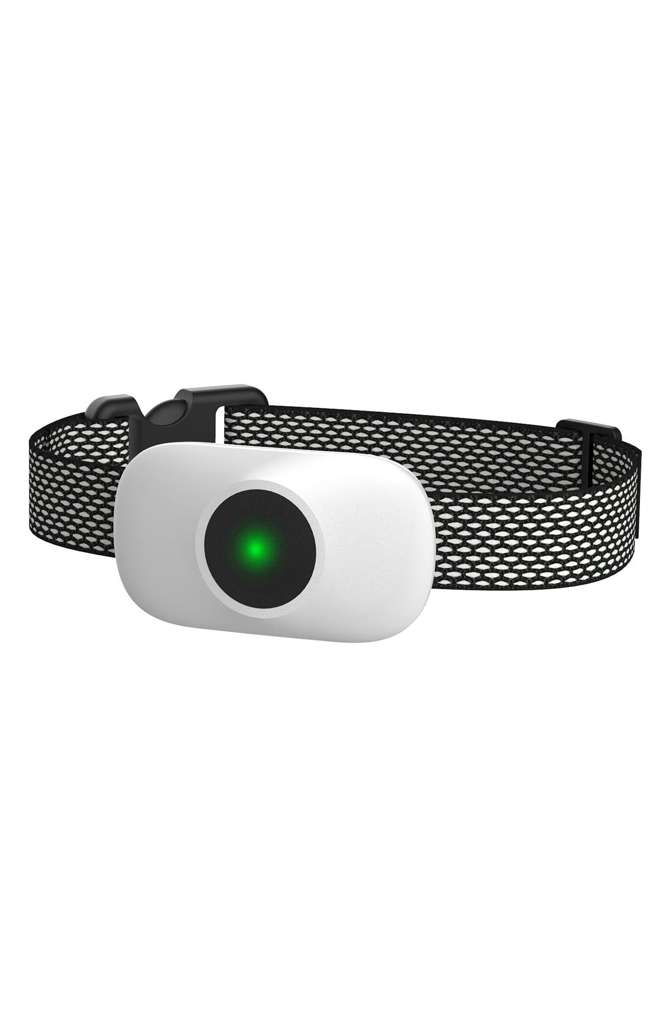 PET LIFE Ellipse 1-to-3 Dog 550-Yard Range 16-Level Vibration Tone and Stimulation Training Collar