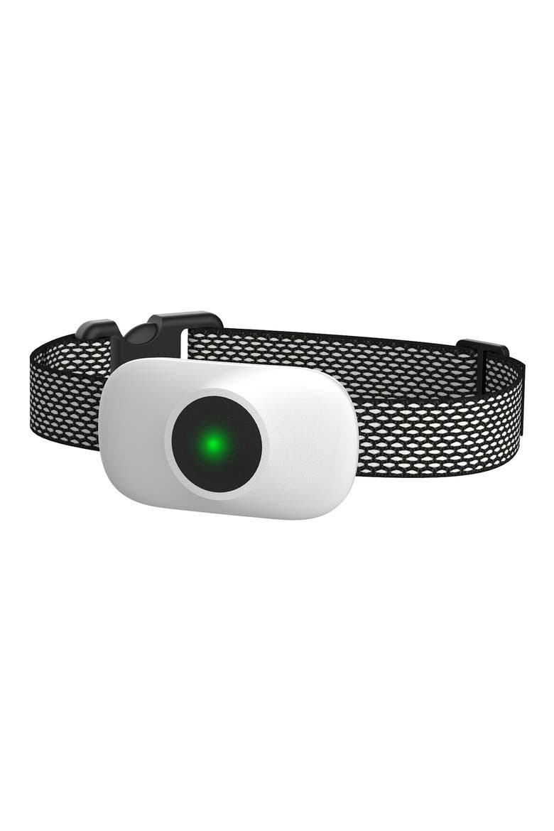 Ellipse 1-to-3 Dog 550-Yard Range 16-Level Vibration Tone and Stimulation Training Collar, Main, color, BLACK/ WHITE