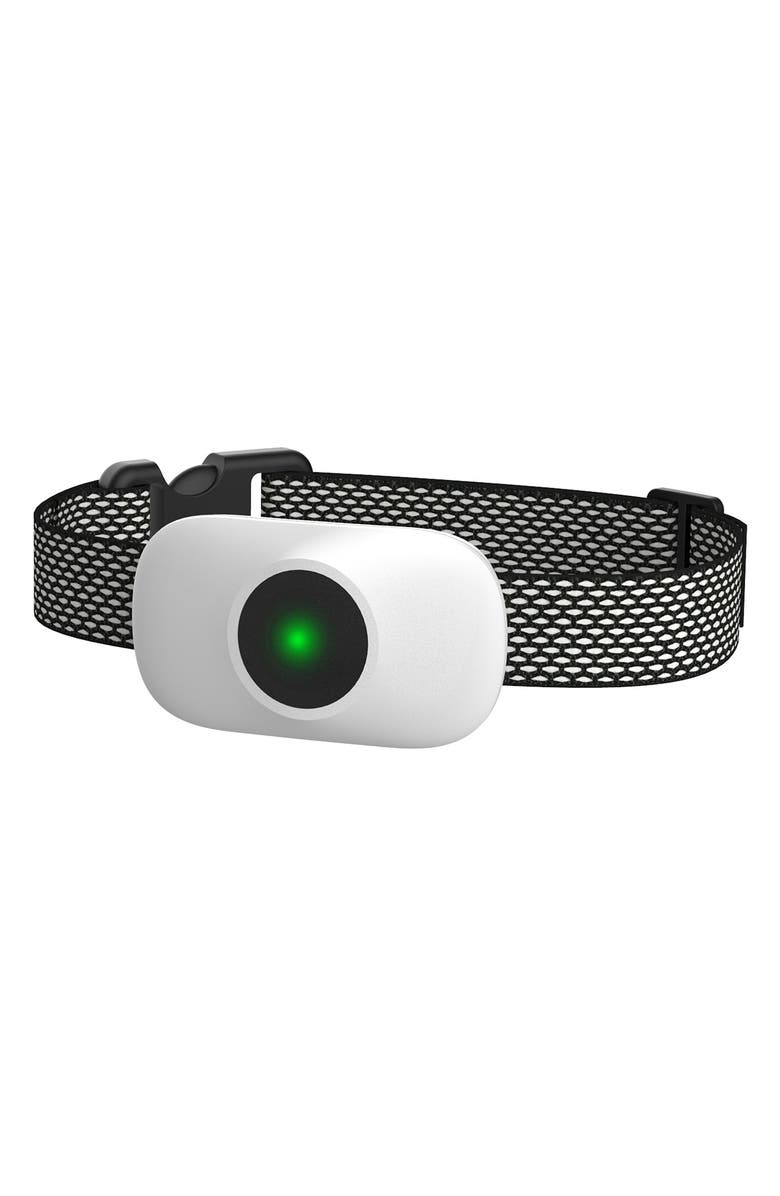 PET LIFE Ellipse 1-to-3 Dog 550-Yard Range 16-Level Vibration Tone and Stimulation Training Collar, Main, color, 