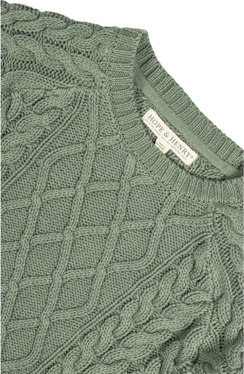 Hope & Henry Baby Boys' Organic Raglan Fisherman Sweater, Infant, Alternate, color, 