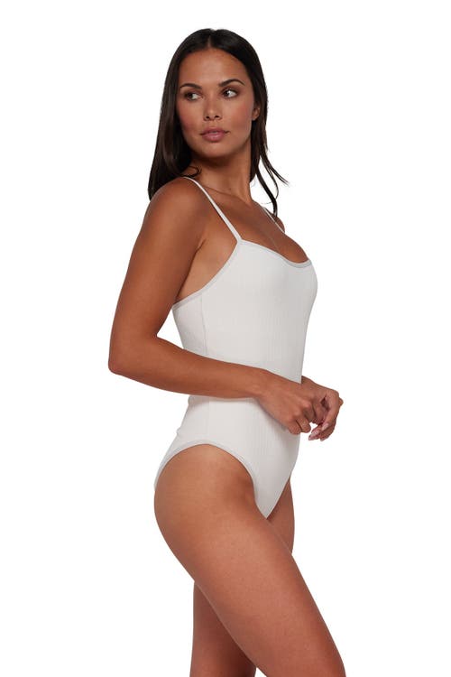 Pacifica By Sunsets Ariel One Piece Swimsuit