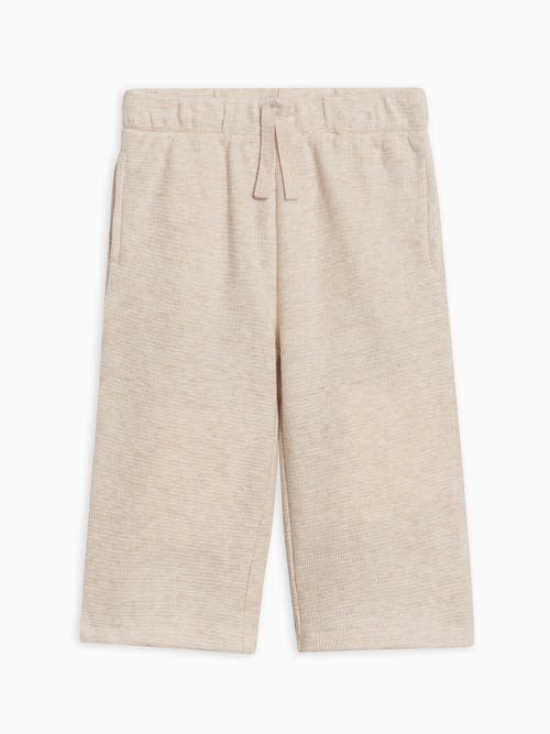 Kendi Clove Waffle Knit Pants In Neutral